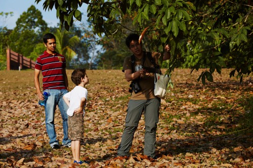 A young participant getting to know the rubber tree with guide David Tan.  