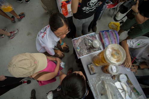 A bird's eye view of our booth and photos of Jubilee's stomach contents. Photo by Marcus Ng.